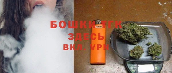 спайс Арсеньев